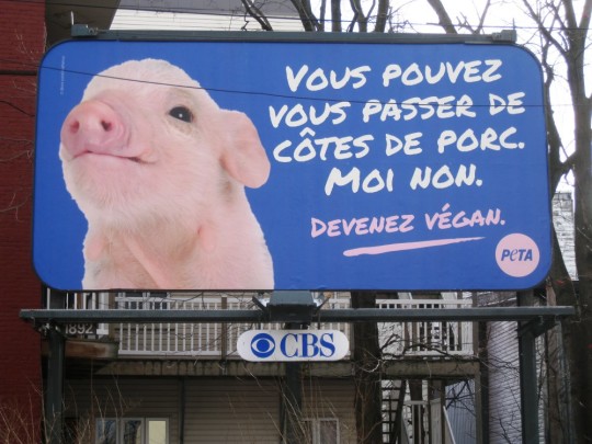 Peta _ Quebec_Pork_Billboard__1417539186_24.171.149.195