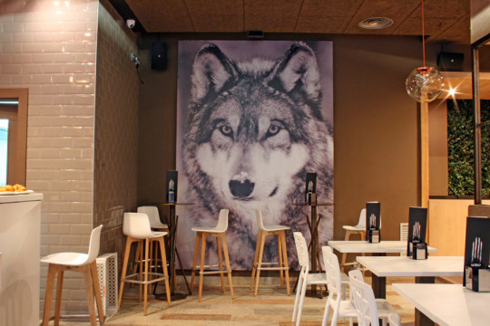El lobo del Lobo (foto: www.lobodonosti.com)