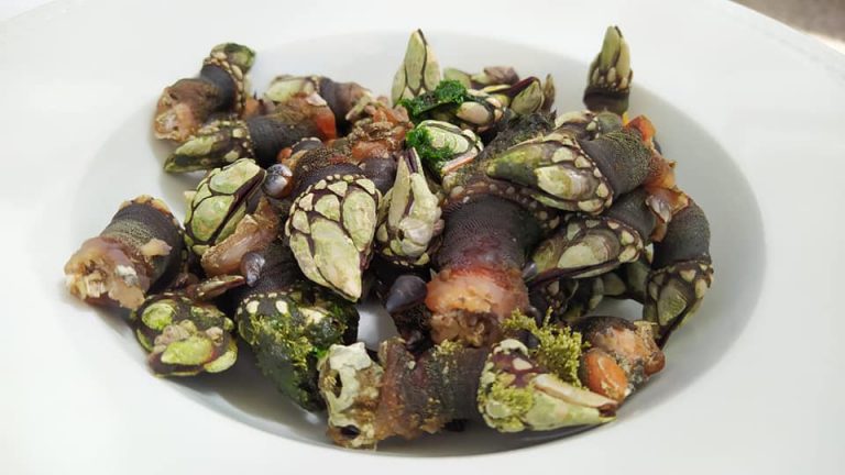 Cómo cocer percebes LQCDM