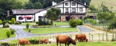 Restaurante Boroa (Amorebieta – Etxano). Tradición refinada