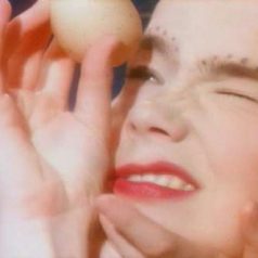Björk. ‘Venus as a boy’