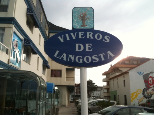 La langosta, la gran estrella en el hotel-restaurante Astuy, en Isla (foto: Cuchillo)